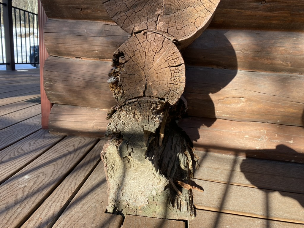 Rotted log corner needing structural replacement