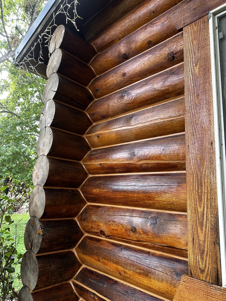 Freshly stained log wall showing rich wood grain